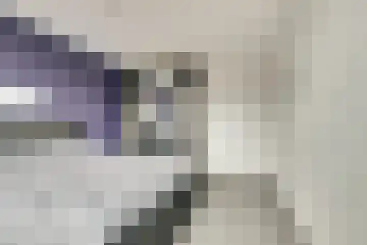 Prins Bernhardstraat 3 Everdingen thumbnail 18