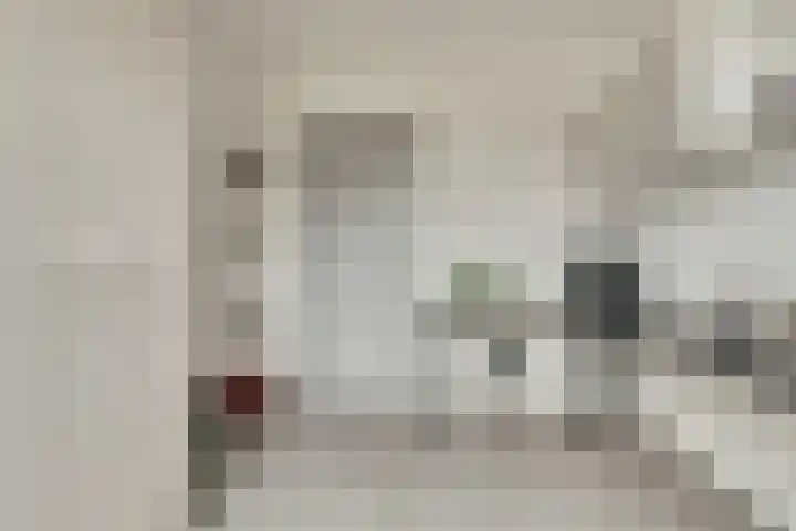 Prins Bernhardstraat 3 Everdingen thumbnail 20