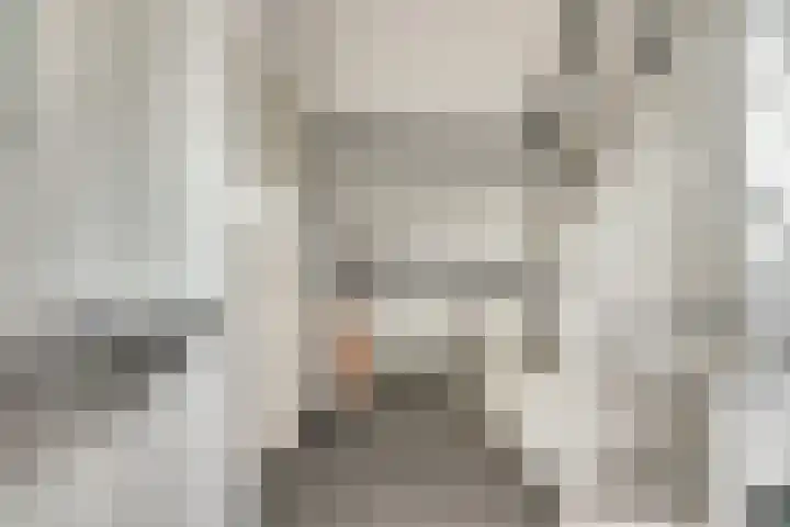 Prins Bernhardstraat 3 Everdingen thumbnail 26