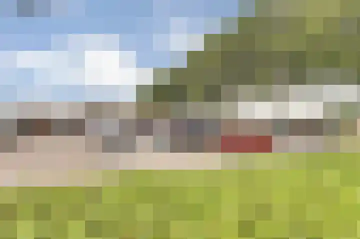 Prins Bernhardstraat 3 Everdingen thumbnail 35