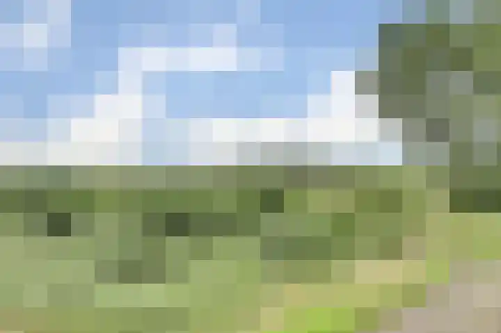 Prins Bernhardstraat 3 Everdingen thumbnail 38