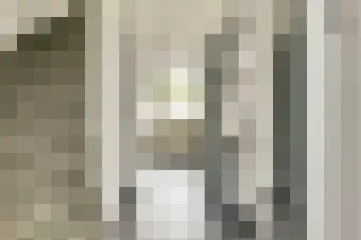 Prins Bernhardstraat 3 Everdingen thumbnail 5