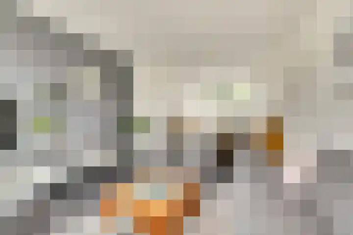 Prins Bernhardstraat 3 Everdingen thumbnail 8
