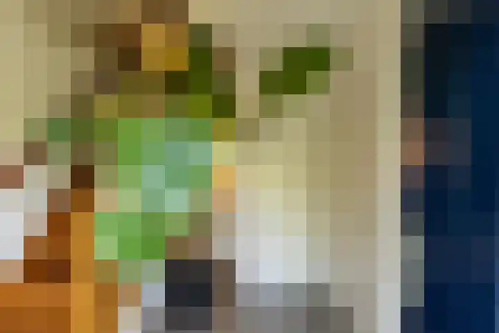 Prins Bernhardstraat 40 Silvolde thumbnail 10