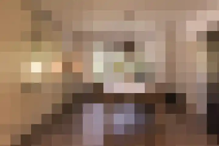 Prins Bernhardstraat 40 Silvolde thumbnail 13
