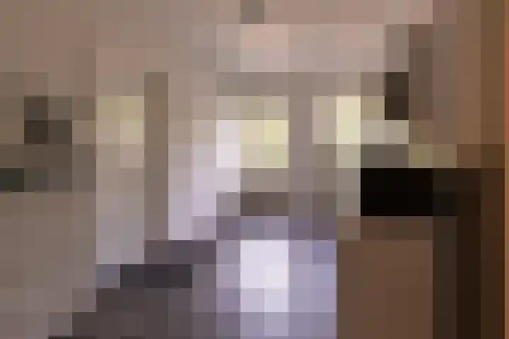 Prins Bernhardstraat 40 Silvolde thumbnail 18