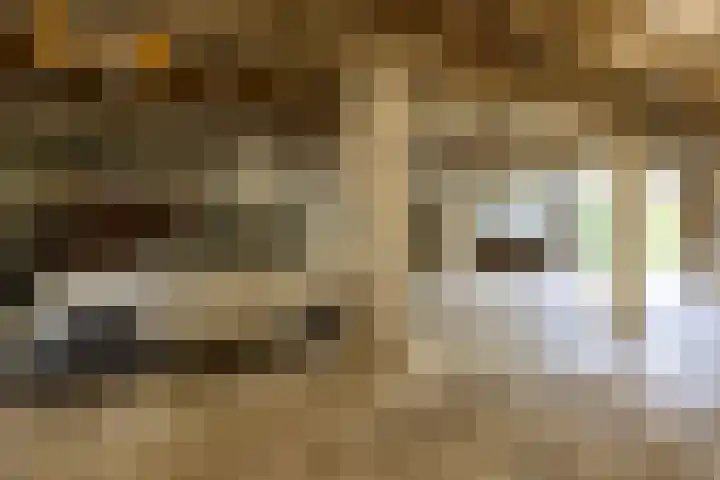 Prins Bernhardstraat 40 Silvolde thumbnail 32
