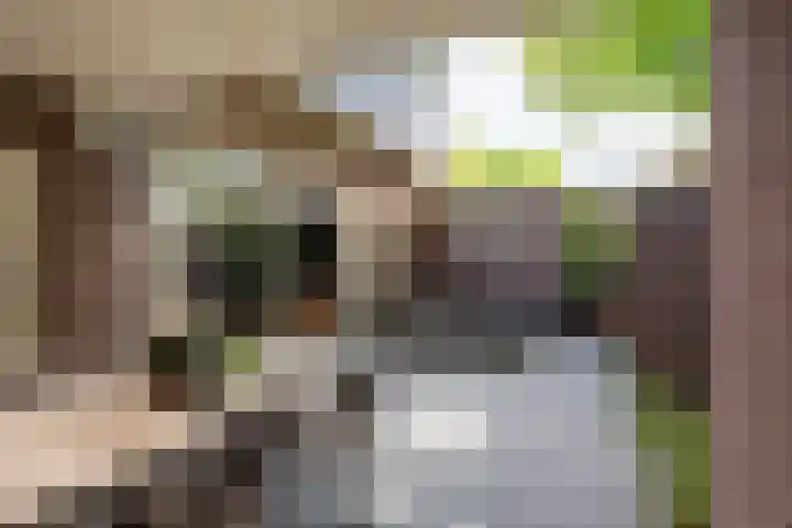 Prins Bernhardstraat 40 Silvolde thumbnail 35