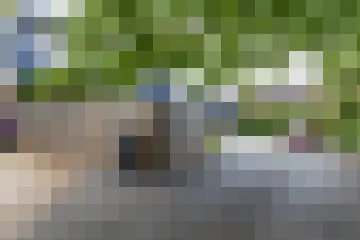 Prins Bernhardstraat 40 Silvolde thumbnail 5
