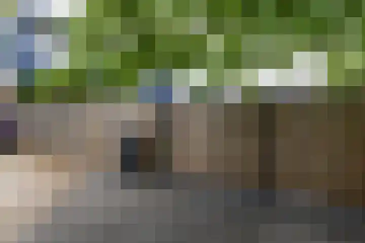 Prins Bernhardstraat 40 Silvolde thumbnail 6