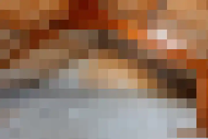 Prins Clausstraat 7 Terborg thumbnail 13
