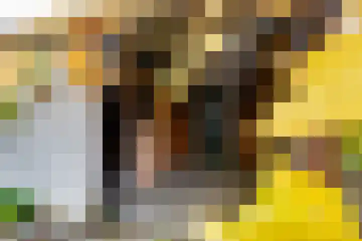 Prins Clausstraat 7 Terborg thumbnail 16