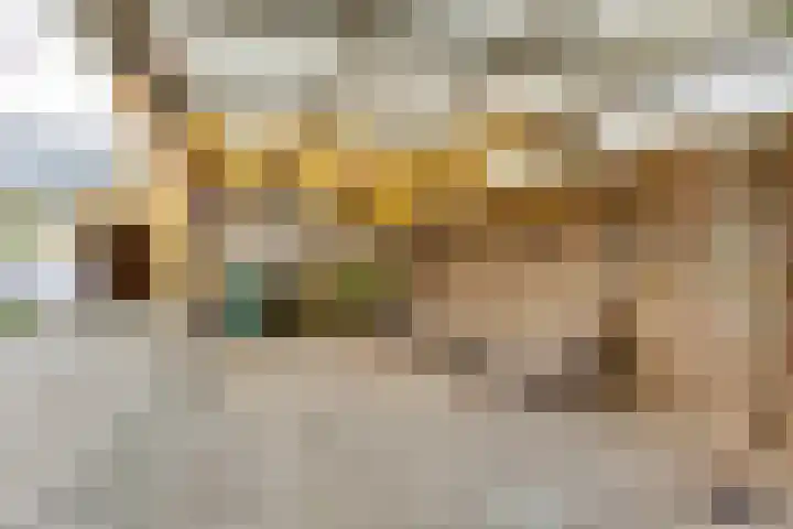 Prins Clausstraat 7 Terborg thumbnail 17