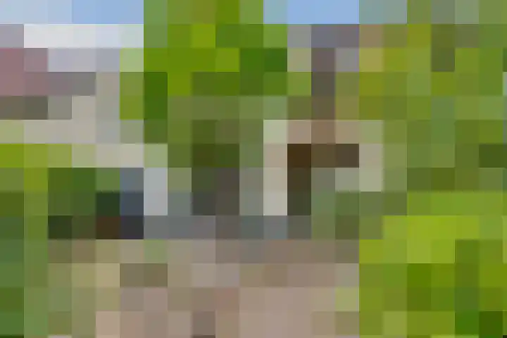 Prins Hendriklaan 111 Bilthoven thumbnail 6