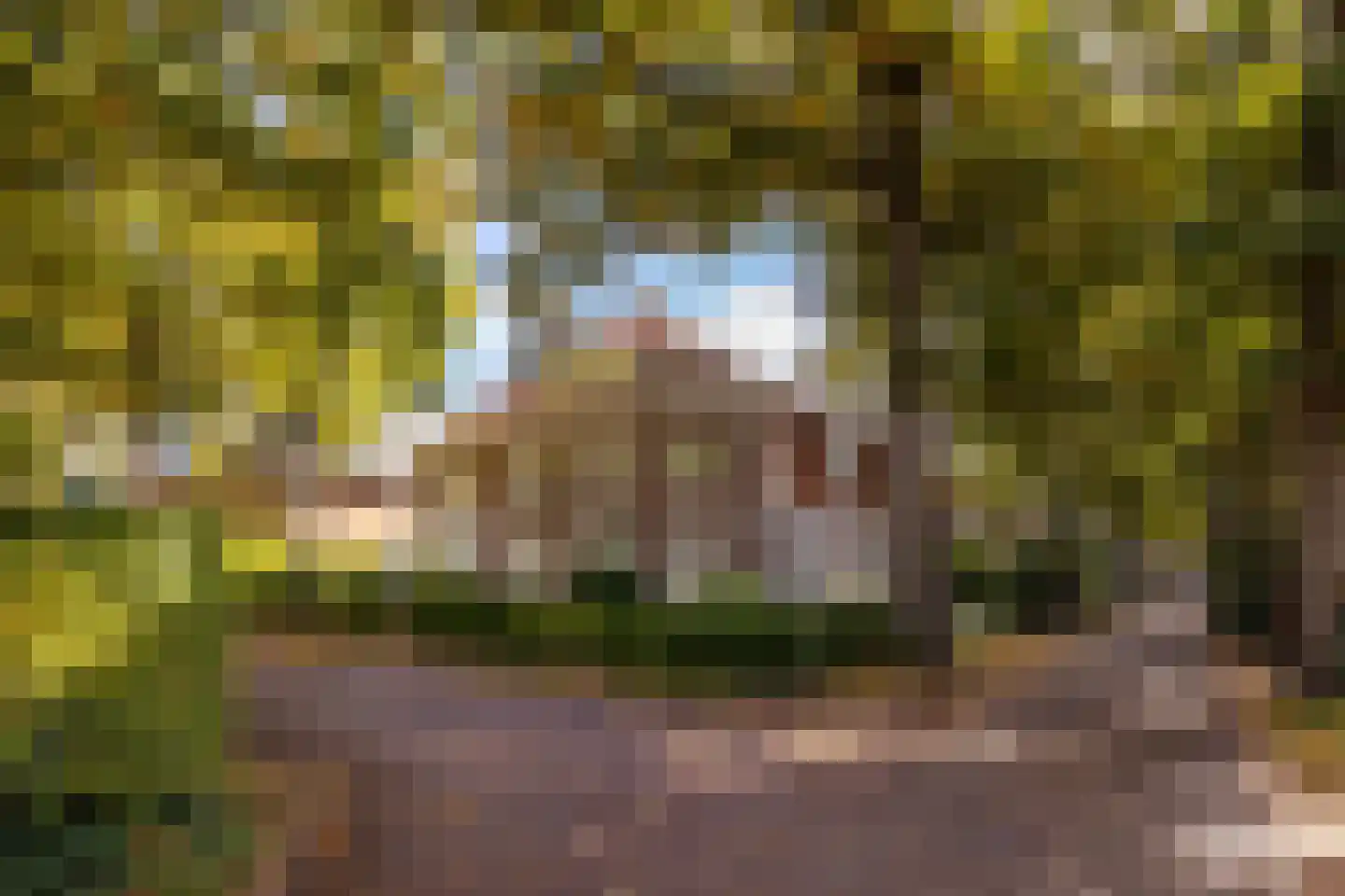 Prins Hendriklaan 21 dans Driebergen-Rijsenburg