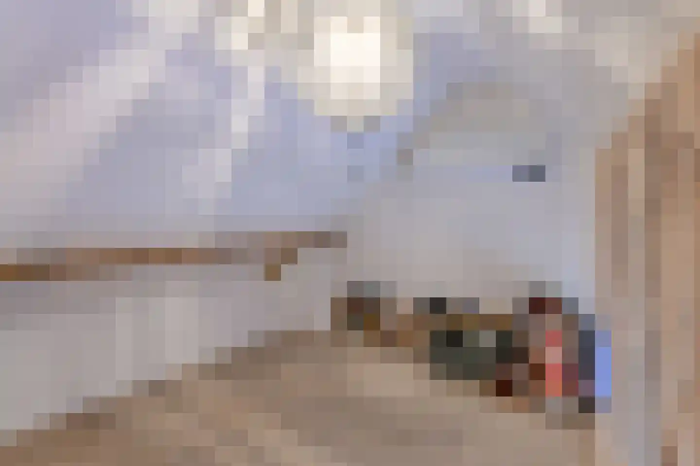 Prins Hendrikstraat 31 Breda thumbnail 32