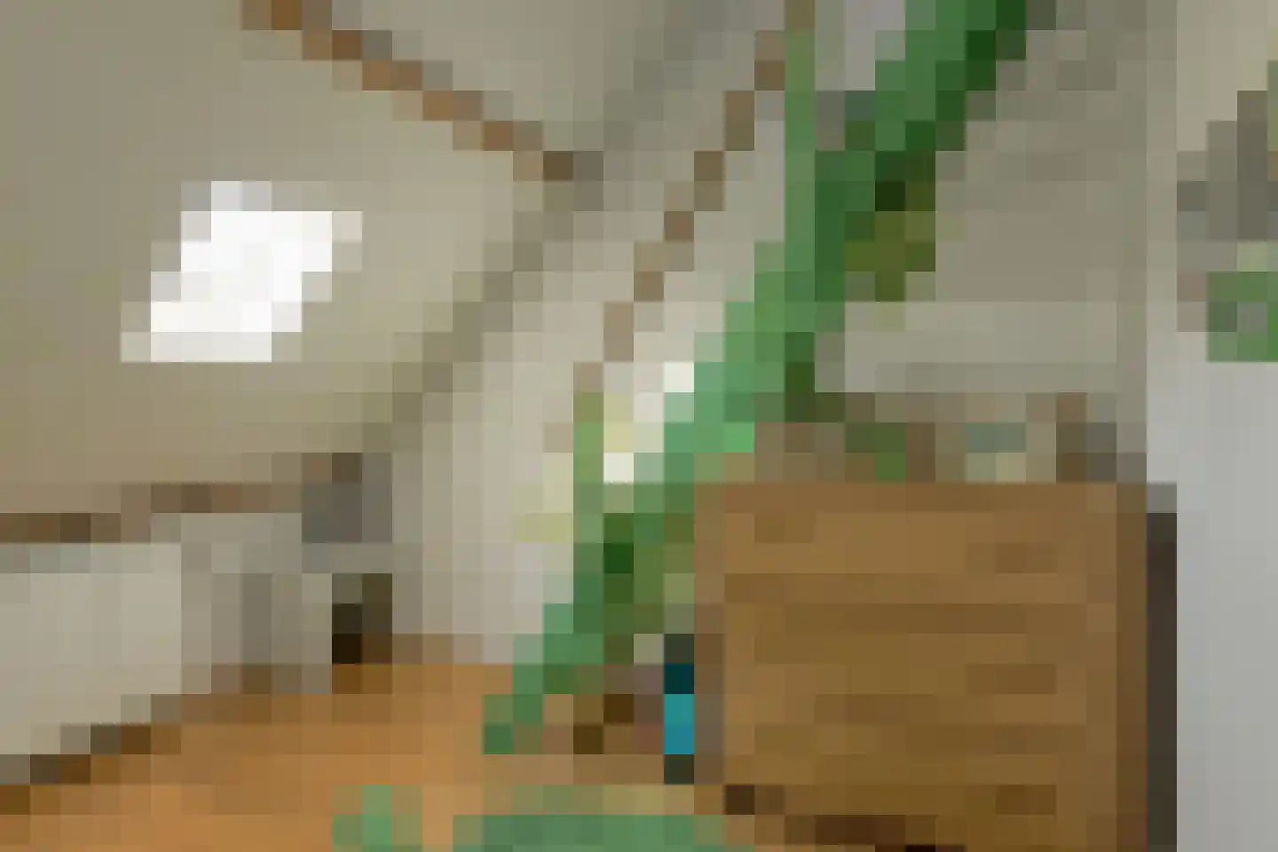 Prins Hendrikstraat 31 Breda thumbnail 35