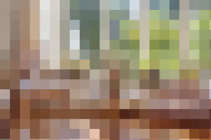 Prins Mauritshof 16 Terborg thumbnail 15