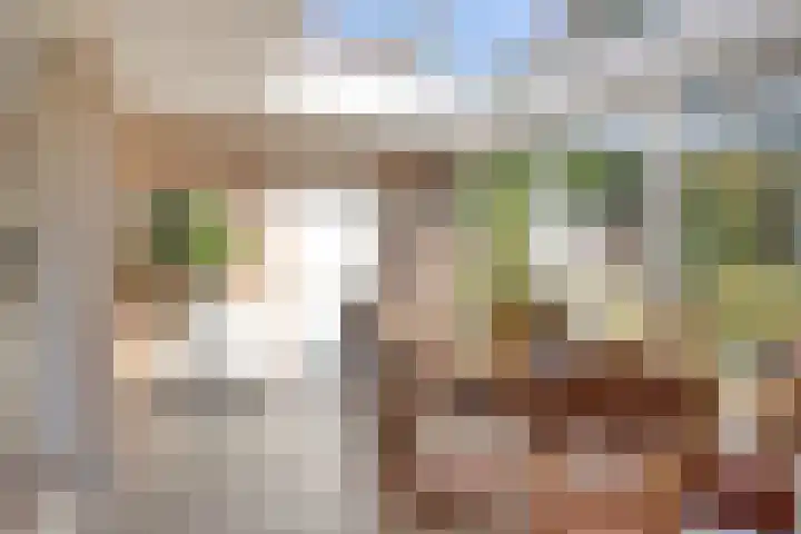 Prins Mauritshof 16 Terborg thumbnail 21