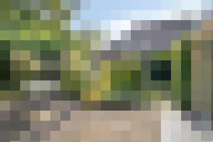 Prins Mauritshof 16 Terborg thumbnail 28