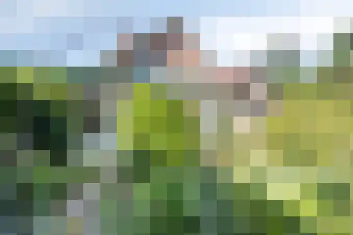 Prins Mauritshof 16 Terborg thumbnail 31