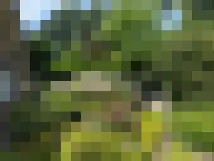 Prins Mauritshof 16 Terborg thumbnail 42