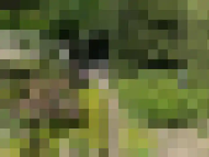 Prins Mauritshof 16 Terborg thumbnail 43