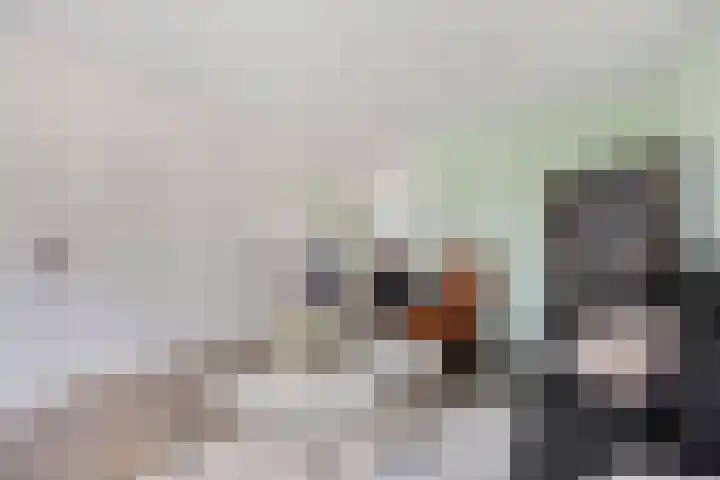 Prins Willem-Alexanderweg 313 in Den Haag