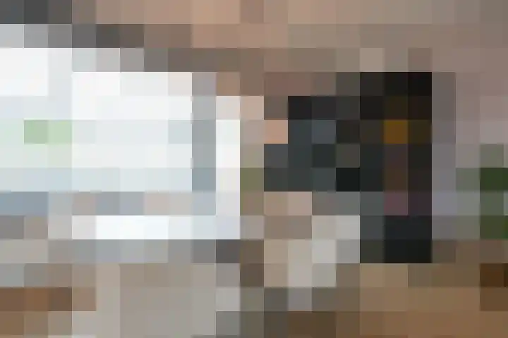 Prinsbisdomstraat 16 Born thumbnail 11