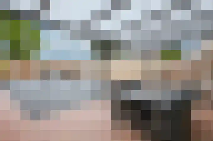 Prinsbisdomstraat 16 Born thumbnail 23