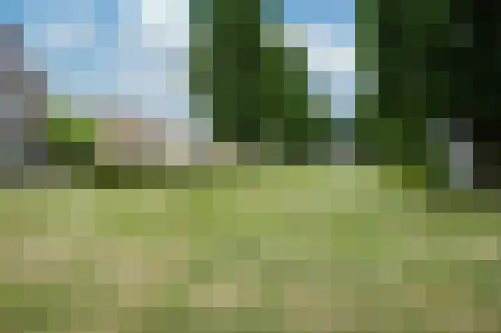 Prinsbisdomstraat 16 Born thumbnail 34