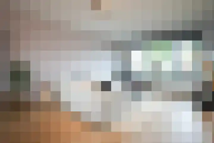 Prinsbisdomstraat 16 Born thumbnail 5