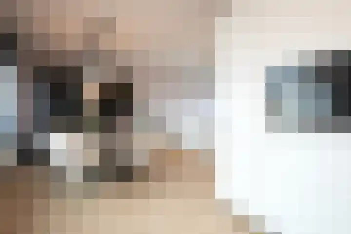 Prinsbisdomstraat 16 Born thumbnail 9