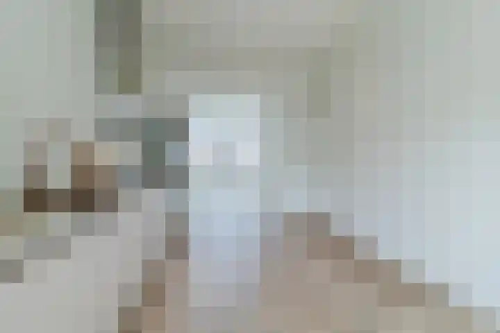 Prinsekade 20 RD Maassluis thumbnail 7