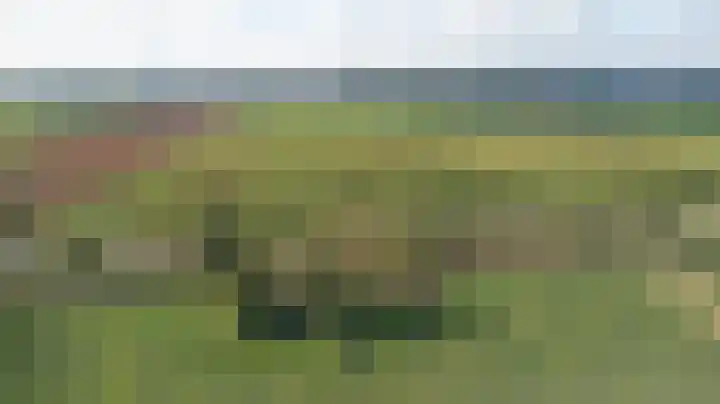 Prinsendijk 9 Kortgene thumbnail 32
