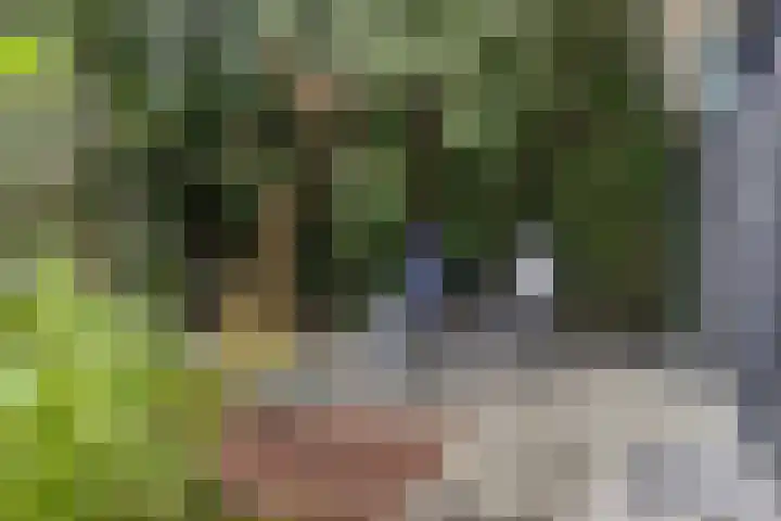 Prinsendijk 9 Kortgene thumbnail 33