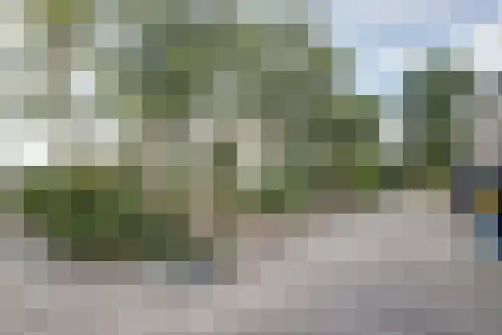 Prinsendijk 9 Kortgene thumbnail 36