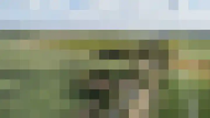 Prinsendijk 9 Kortgene thumbnail 41