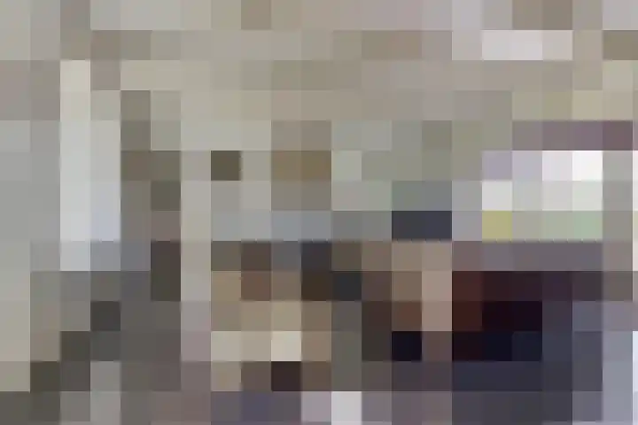 Prinsendijk 9 Kortgene thumbnail 8