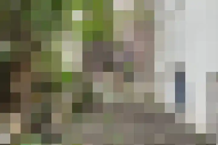 Prinseneiland 271 Amsterdam thumbnail 25