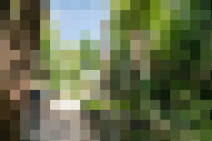 Prinseneiland 271 Amsterdam thumbnail 27