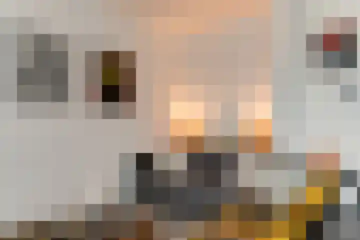 Prinseneiland 567 Amsterdam thumbnail 14