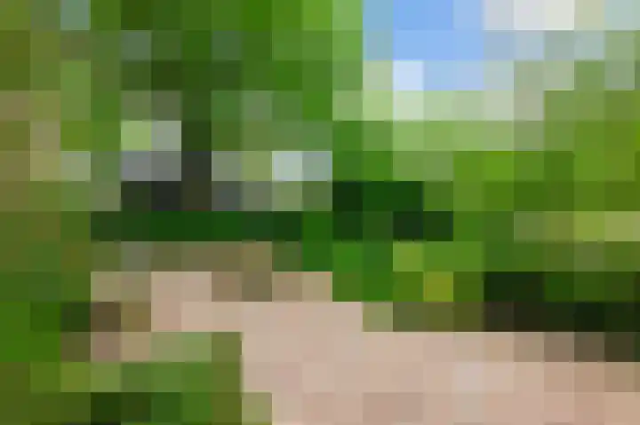 Prinseneiland 65 C Amsterdam thumbnail 14