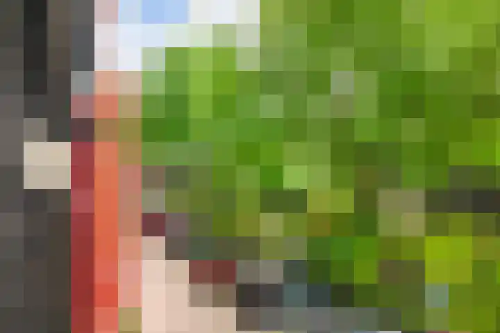 Prinseneiland 65 C Amsterdam thumbnail 4