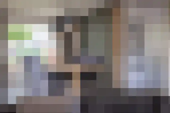 Prinsenkamp 29 Vroomshoop thumbnail 11