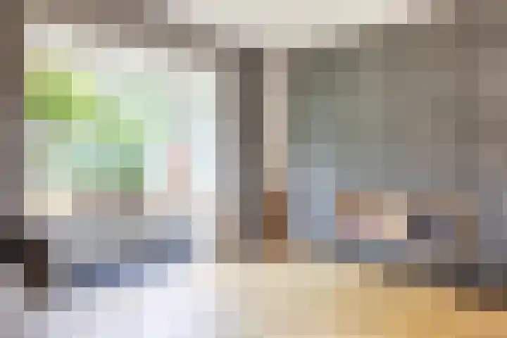 Prinsenkamp 29 Vroomshoop thumbnail 18
