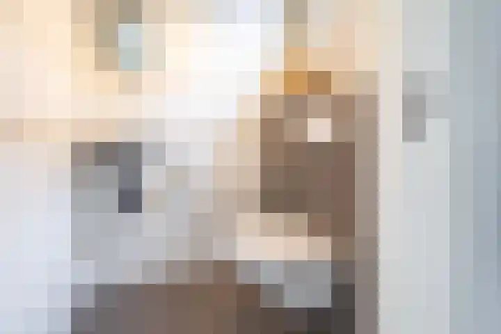 Prinsenkamp 29 Vroomshoop thumbnail 26