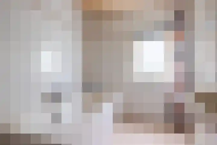 Prinsenkamp 29 Vroomshoop thumbnail 29