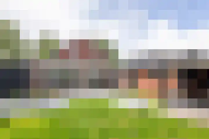Prinsenkamp 29 Vroomshoop thumbnail 32