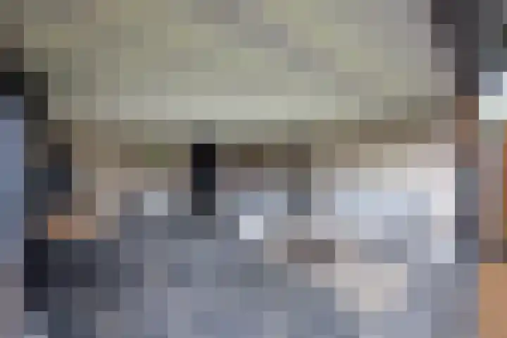 Prinsenkamp 29 Vroomshoop thumbnail 34